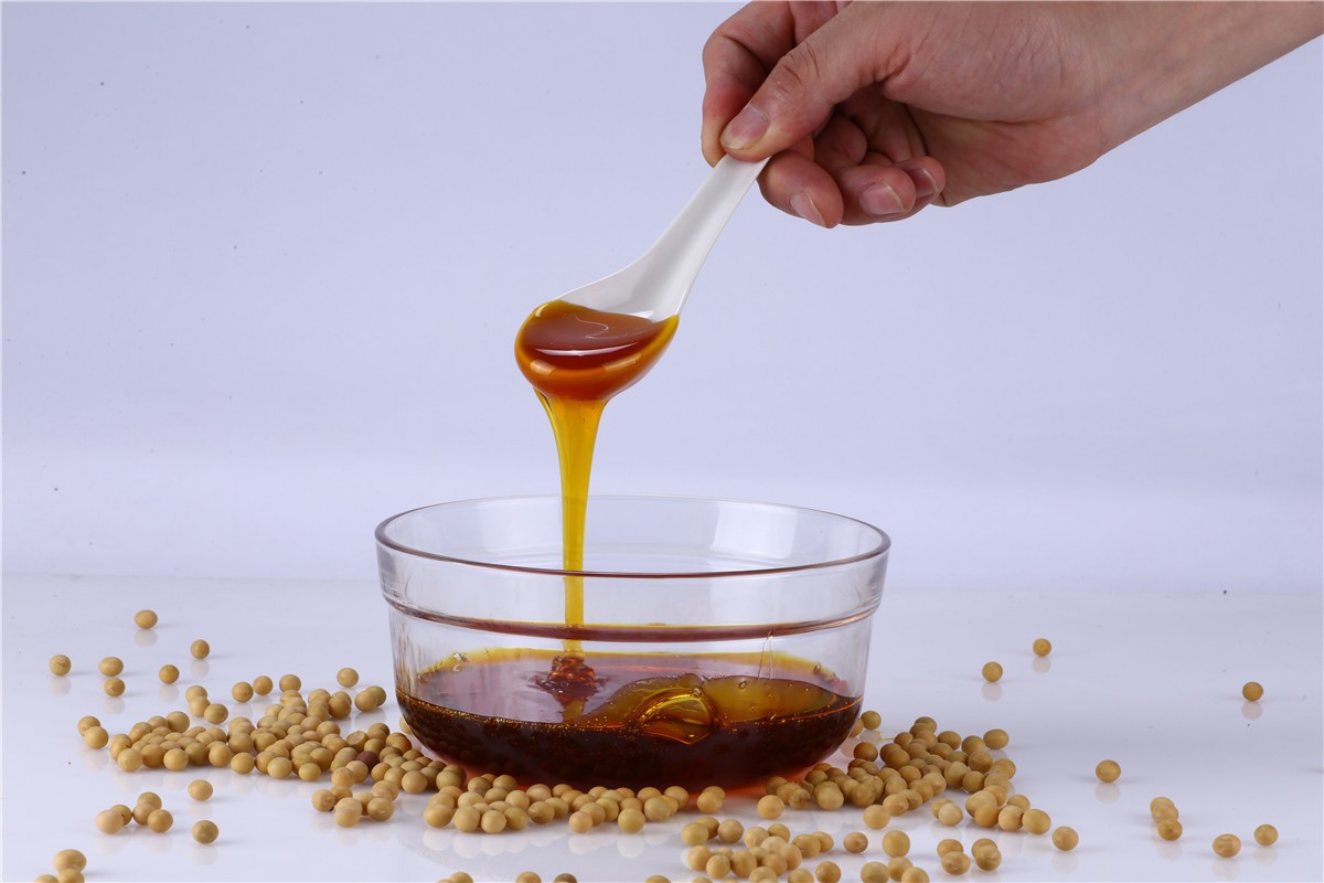 Non GMO Soya Lecithin from India
